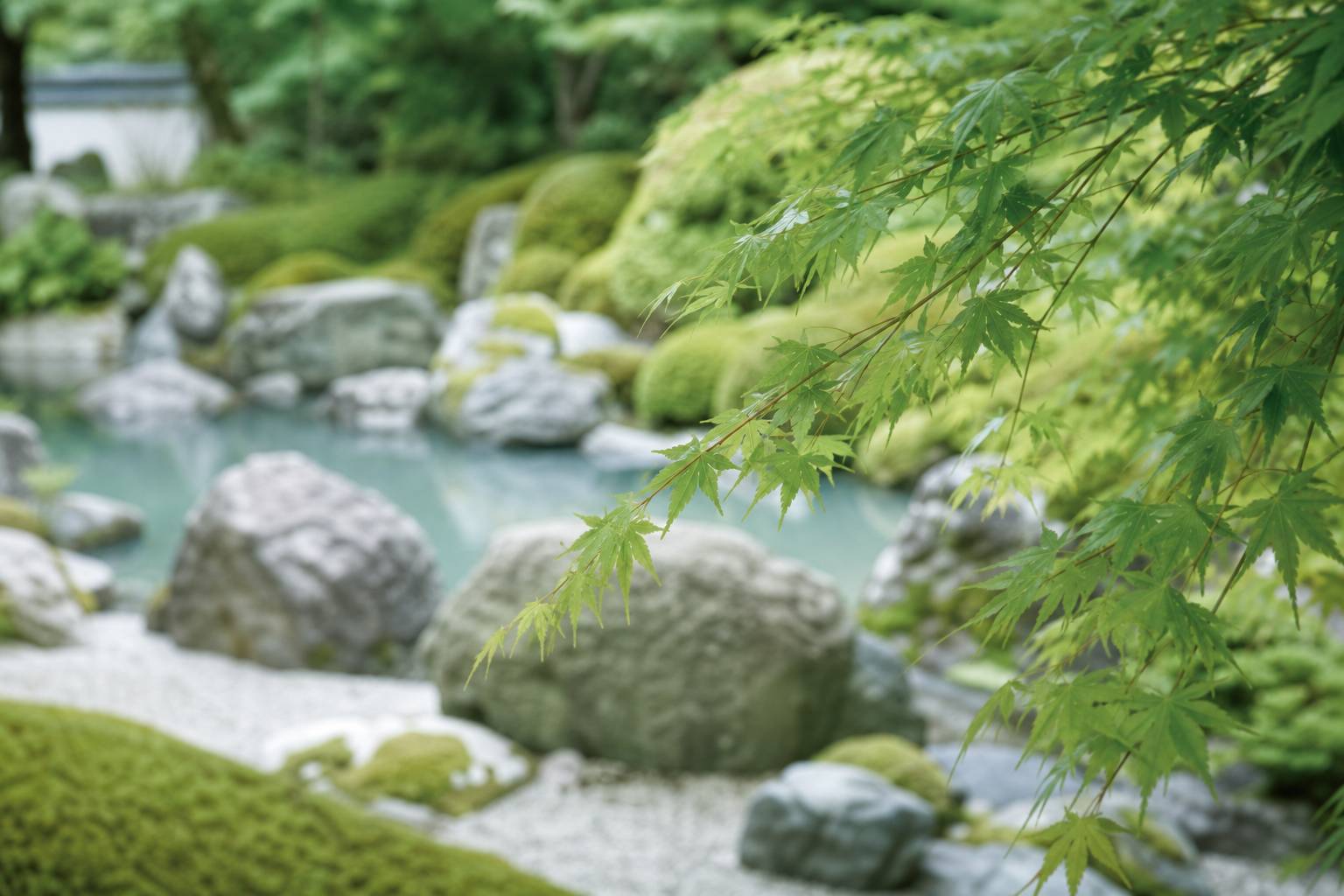 arbustes-jardin-japonais-authentique-incontent